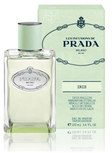 prada iris edp fragrantica